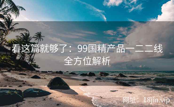 看这篇就够了：99国精产品一二二线全方位解析  第2张