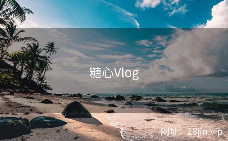 糖心Vlog 第1张