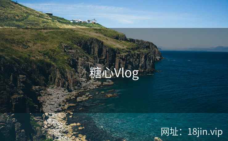糖心Vlog 第2张