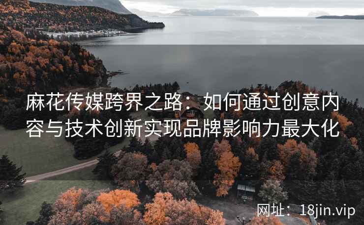 麻花传媒跨界之路：如何通过创意内容与技术创新实现品牌影响力最大化  第2张