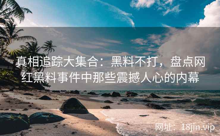 真相追踪大集合：黑料不打，盘点网红黑料事件中那些震撼人心的内幕  第2张