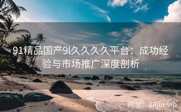91精品国产9l久久久久平台：成功经验与市场推广深度剖析  第2张