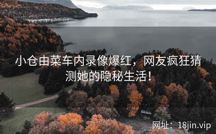 小仓由菜车内录像爆红，网友疯狂猜测她的隐秘生活！