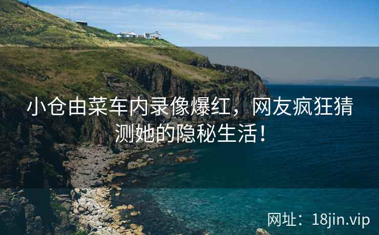 小仓由菜车内录像爆红，网友疯狂猜测她的隐秘生活！  第2张